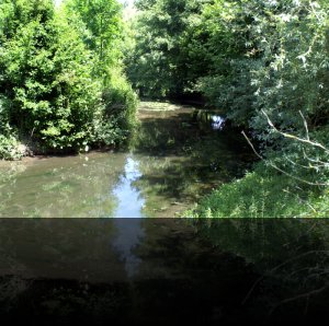 Bas Etang9